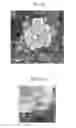 Fig. 24 - IMAGE PROCESSING APPARATUS, IMAGE PROCESSING METHOD, PROGRAM, PRINTING MEDIUM, AND RECORDING MEDIUM