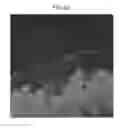 Fig. 31 - IMAGE PROCESSING APPARATUS, IMAGE PROCESSING METHOD, PROGRAM, PRINTING MEDIUM, AND RECORDING MEDIUM
