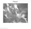 Fig. 41 - IMAGE PROCESSING APPARATUS, IMAGE PROCESSING METHOD, PROGRAM, PRINTING MEDIUM, AND RECORDING MEDIUM