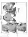 Fig. 14 - Medical diagnostic imaging apparatus, image processing apparatus, and image generating method