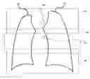 Fig. 01 - Medical image analyzer