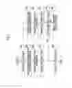 Fig. 06 - Radiographic image analysis device and method, and recording medium having program recorded therein