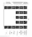 Fig. 11 - METHOD AND SYSTEMS FOR MULTI-VIEW HIGH-SPEED MOTION CAPTURE