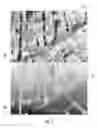 Fig. 03 - Aligning panoramic imagery and aerial imagery