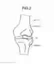 Fig. 03 - Image analyzing device, image analyzing method, and computer program product