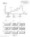 Fig. 03 - Regulated games: multi-act games