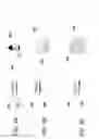 Fig. 04 - Systems, methods, and apparatuses for tracking status of time-sensitive articles