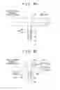 Fig. 07 - Alerting apparatus