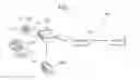 Fig. 03 - Food intake controlling devices and methods