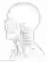 Fig. 01 - ANATOMICALLY CORRECT MOVEMENT OR DEFORMATION OF SIMULATED BODILY STRUCTURES