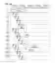 Fig. 44 - METHOD FOR DRIVING LIQUID CRYSTAL DISPLAY DEVICE
