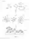 Fig. 02 - Self-assembled nanoparticles with polymeric and/or oligomeric ligands