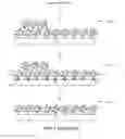 Fig. 03 - Self-assembled nanoparticles with polymeric and/or oligomeric ligands