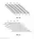 Fig. 05 - Self-assembled nanoparticles with polymeric and/or oligomeric ligands