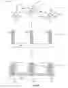 Fig. 10 - Self-assembled nanoparticles with polymeric and/or oligomeric ligands