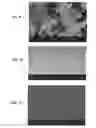 Fig. 14 - Self-assembled nanoparticles with polymeric and/or oligomeric ligands