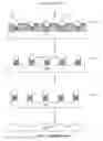 Fig. 19 - Self-assembled nanoparticles with polymeric and/or oligomeric ligands