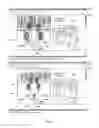 Fig. 07 - Methods, systems and apparatuses for multi-directional still pictures and/or multi-directional motion pictures