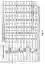 Fig. 07 - NAND array architecture for multiple simultaneous program and read