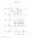 Fig. 13 - Method of programming nonvolatile memory device