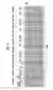 Fig. 09 - 3D NAND semiconductor device for erasing groups of bit lines