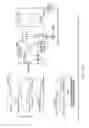 Fig. 17 - System and method for cryogenic fluid delivery by way of a superconducting power transmission line
