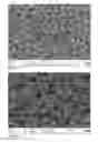 Fig. 05 - Solar cell and process for producing the same
