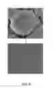Fig. 05 - METAL POWDER, ELECTRONIC COMPONENT AND METHOD OF PRODUCING THE SAME