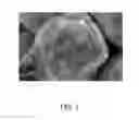 Fig. 06 - METAL POWDER, ELECTRONIC COMPONENT AND METHOD OF PRODUCING THE SAME