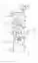 Fig. 18 - Visible disconnect switch interlock assembly