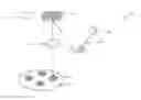 Fig. 01 - Method and apparatus for electron beam lithography