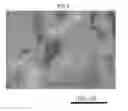 Fig. 05 - Fe-Co-based alloy sputtering target material, and method of producing same