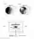 Fig. 03 - Indicator used in electronic device manufacturing apparatus and method for designing and/or managing the apparatus
