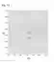 Fig. 12 - Arrangement and method for generating mixed light