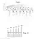 Fig. 10 - Three dimensional non-volatile memory with separate source lines