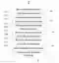 Fig. 01 - TANDEM-TYPE ORGANIC LIGHT-EMITTING DIODE AND DISPLAY DEVICE
