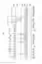 Fig. 08 - Organic light emitting diode display reducing parasitic capacitance