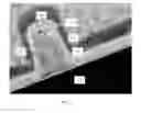 Fig. 09 - Low temperature spacer for advanced semiconductor devices
