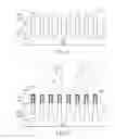 Fig. 05 - Fin shaped structure and method of forming the same