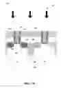 Fig. 12 - Semiconductor device and method of making