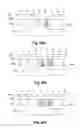 Fig. 05 - Method and apparatus for power device with depletion structure
