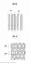 Fig. 04 - Electrostatic discharge device and method of fabricating the same