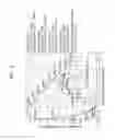 Fig. 10 - Light-emitting device