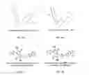 Fig. 04 - Conjugated polymers and devices incorporating the same