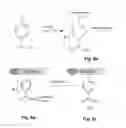 Fig. 09 - Selective placement of carbon nanotubes via coulombic attraction of oppositely charged carbon nanotubes and self-assembled monolayers