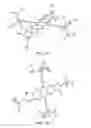 Fig. 03 - Synthesis of new small molecules/oligomers with high conductivity and absorption for optoelectronic application