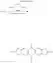 Fig. 18 - Synthesis of new small molecules/oligomers with high conductivity and absorption for optoelectronic application