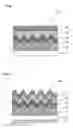 Fig. 04 - METHOD FOR MANUFACTURING SUBSTRATE HAVING TEXTURED STRUCTURE
