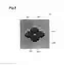 Fig. 06 - Organic EL element, and organic EL element manufacturing method