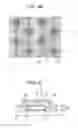 Fig. 17 - Organic electroluminescent display device